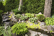 BLOOMIQUE - Lot de 3 - Lysimachia Nummularia - Herbe aux écus - Plantes de bassin - H. 10-20 cm - P. 9 cm - vignette