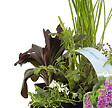 BLOOMIQUE - Lot de 6 - Plantes de bassin parfumées - Acorus - Géranium - Houttuynia - H. 15-25 cm - P. 9 cm - vignette