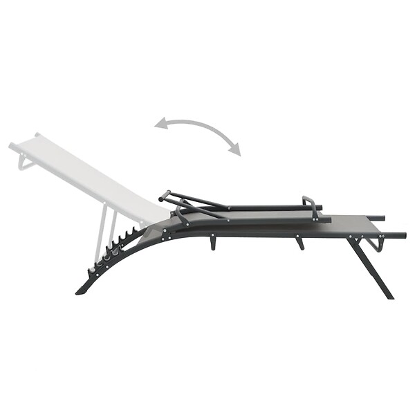 VIDAXL - vidaXL Chaises longues lot de 2 Textilène et acier - large