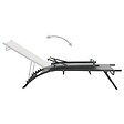 VIDAXL - vidaXL Chaises longues lot de 2 Textilène et acier - vignette