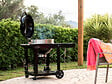 NAPOLEON - Barbecue à charbon Kettle Pro 57 cm sur chariot + Housse de,protection + Rôtissoire + Lot de 2 paniers à charbon - Napoleon - vignette