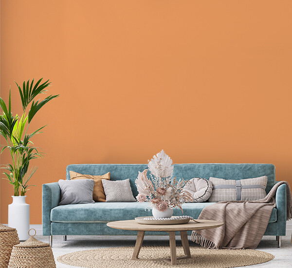 NUANCE - Peinture MonoCrème - Ambre - Mat - 0.5L - large