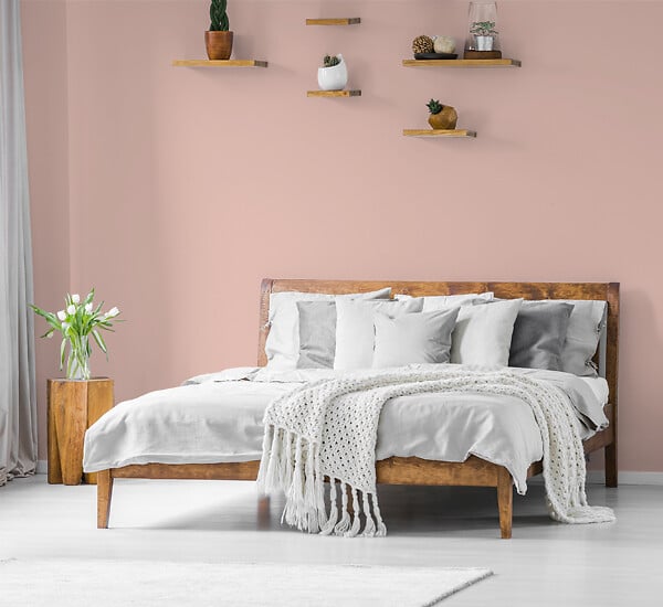 NUANCE - Peinture MonoCrème - Rose perle - Satin - 0.5L - large