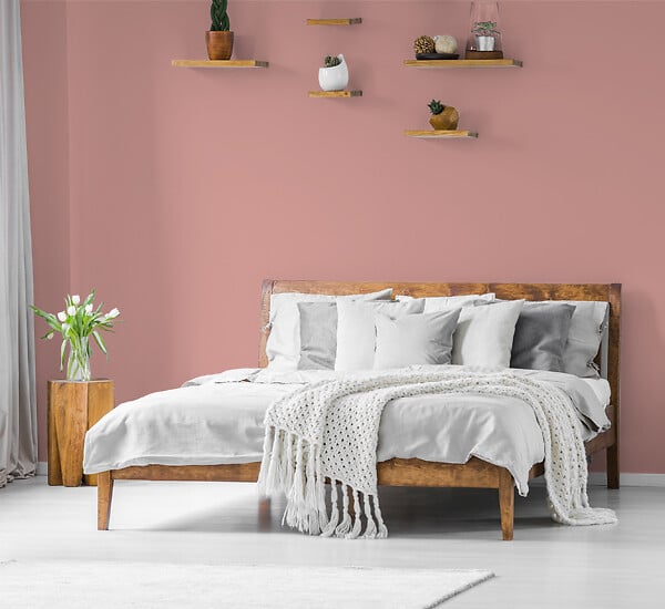 NUANCE - Peinture MonoCrème - Rose pétale - Mat - 0.5L - large