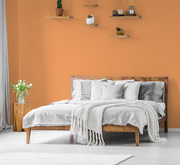 NUANCE - Testeur peinture MonoCrème - Ambre - Mat - 50ml - large