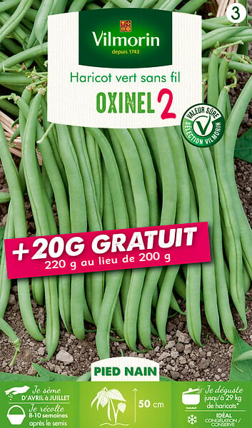 VILMORIN - Graines de haricot nain vert mangetout Oxinel 2 - 220g - large