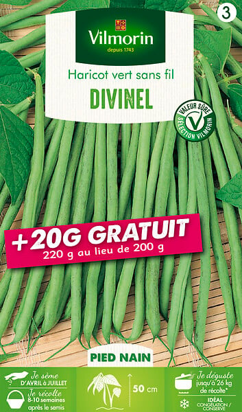 VILMORIN - Haricot nain a filet sans fil Delinel - 200+20g gratuit - large
