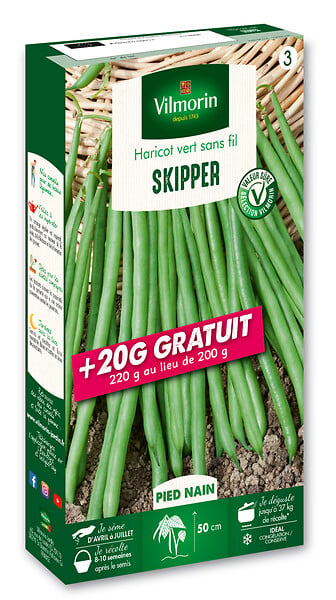 VILMORIN - Haricot nain à filet sans fil Skipper - 200+20g gratuit - large