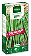 VILMORIN - Haricot nain à filet sans fil Skipper - 200+20g gratuit - vignette