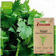 ASSOCIATION KOKOPELLI - Céleri à Côtes À Couper- Graines bio à semer - vignette