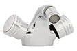 GARIS - Mélangeur bidet Neo à vidange - GARIS - R02-24044MS - vignette