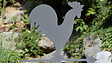 CENTRALE BRICO - Girouette coq anthracite - 45x74cm  - Acier époxy - vignette