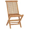 VIDAXL - vidaXL Chaises pliables de jardin lot de 8 Bois de teck solide - vignette