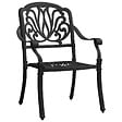 VIDAXL - vidaXL Chaises de jardin lot de 2 Aluminium coulé Noir - vignette