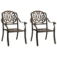 VIDAXL - vidaXL Chaises de jardin lot de 2 Aluminium coulé Bronze - vignette