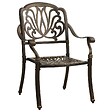 VIDAXL - vidaXL Chaises de jardin lot de 2 Aluminium coulé Bronze - vignette
