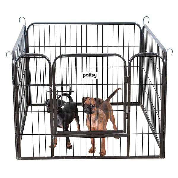PAITSY - Parc Enclos pour chien chiot et lapin GARDEO80x60x4, 4 panneaux 80X60cm, 0,64M2, modulable, intérieur et extérieur, pliable, garantie 5 ans, Paitsy - large
