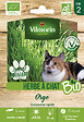 VILMORIN - Graines à cultiver - Herbe à Chat BIO - 20cm - vignette