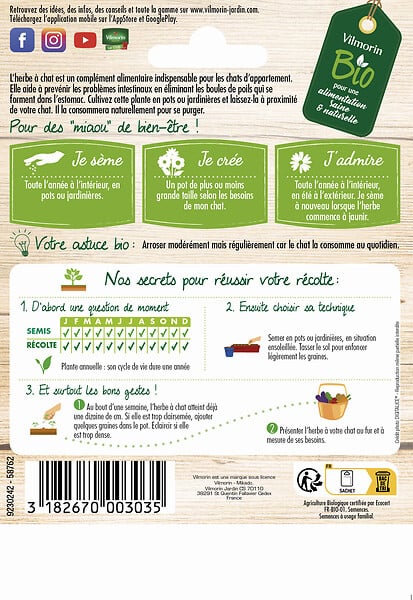 VILMORIN - Graines à cultiver - Herbe à Chat BIO - 20cm - large