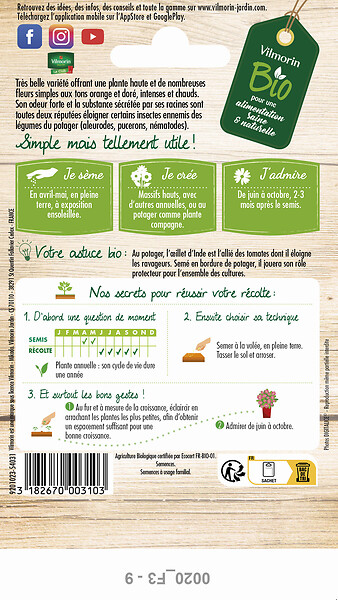 VILMORIN - Œillet d'Inde Orange BIO - Graines - Plante annuelle 20cm - large