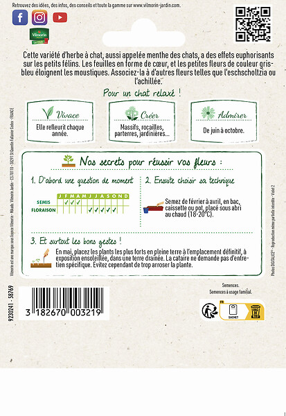 VILMORIN - Cataire Menthe des Chats Vilmorin - large
