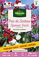 VILMORIN - Pois de Senteur grimpant - Spencer Varié - Multicolore - vignette