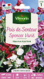 VILMORIN - Pois de Senteur Spencer Varié Vilmorin - vignette