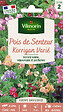 VILMORIN - Pois de Senteur Little Sweetheart Vilmorin - vignette
