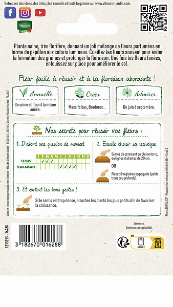VILMORIN - Pois de Senteur Little Sweetheart Vilmorin - large