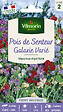 VILMORIN - Pois de Senteur Galaxie Varié Vilmorin - vignette