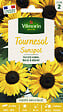 VILMORIN - Tournesol Nain Sunspot Vilmorin - vignette