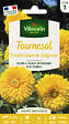 VILMORIN - Graines de tournesol Double Géant de Californie - 30cm - vignette