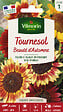 VILMORIN - Tournesol Beauté d'Automne Vilmorin - vignette