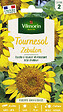 VILMORIN - Tournesol Zebulon Pollen Free Vilmorin - vignette