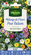 VILMORIN - Mélange de fleurs Fleurs Annuelles pour Balcons 4m2 Vilmorin - vignette