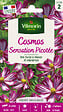 VILMORIN - Graines de Cosmos Picotée - Fleurs blanc et rose - 1,5 g - vignette