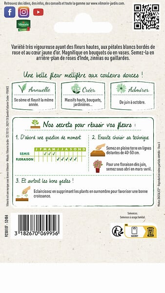 VILMORIN - Graines de Cosmos Picotée - Fleurs blanc et rose - 1,5 g - large