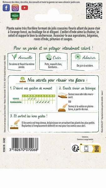 VILMORIN - Graines Œillet d'Inde Miniature Varié - 1 g - large