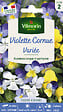 VILMORIN - Viola Cornuta Variée Vilmorin - vignette