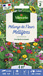 VILMORIN - Mélange de fleurs Fleurs Mellifères 4m2 Vilmorin - vignette