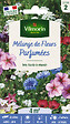 VILMORIN - Mélange de fleurs Fleurs Parfumées 4m2 Vilmorin - vignette