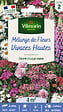 VILMORIN - Mélange de fleurs vivaces hautes - Multicolore - 4m² - vignette