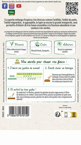 VILMORIN - Mélange de fleurs vivaces hautes - Multicolore - 4m² - large