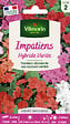 VILMORIN - Graines d'Impatiens Hybride Variée - Multicolore - 0.2g - vignette