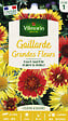 VILMORIN - Gaillarde Grandes Fleurs - Mélange de couleurs - Vivace - vignette