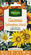 VILMORIN - Gazania Splendens Varié Vilmorin - vignette