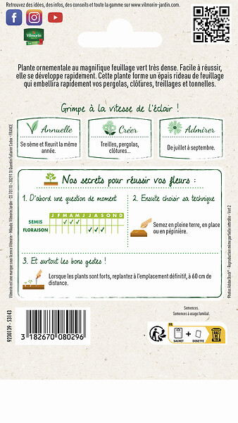 VILMORIN - Houblon du Japon Vilmorin - large
