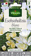 VILMORIN - Graines de pavot de Californie Eschscholtzia Blanc 40cm - vignette