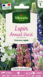 VILMORIN - Lupin Annuel Varié Vilmorin - vignette