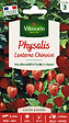 VILMORIN - Physalis Lanterne Chinoise Vilmorin - vignette